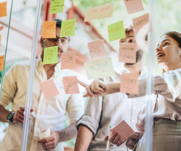 Services 1 img project management
