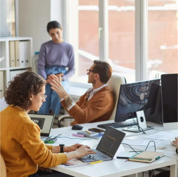 Software Development Team