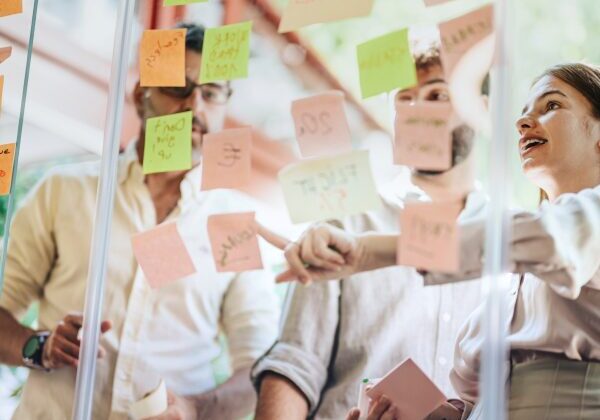 img-project-management